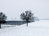 1HH_1180 1
