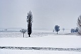 HHH_8580