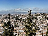 28012009_380