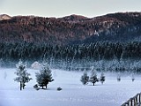 03012009_030