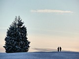 03012009_040