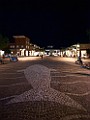 03072010_020