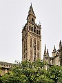 28012009_070