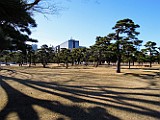 03012013001_019